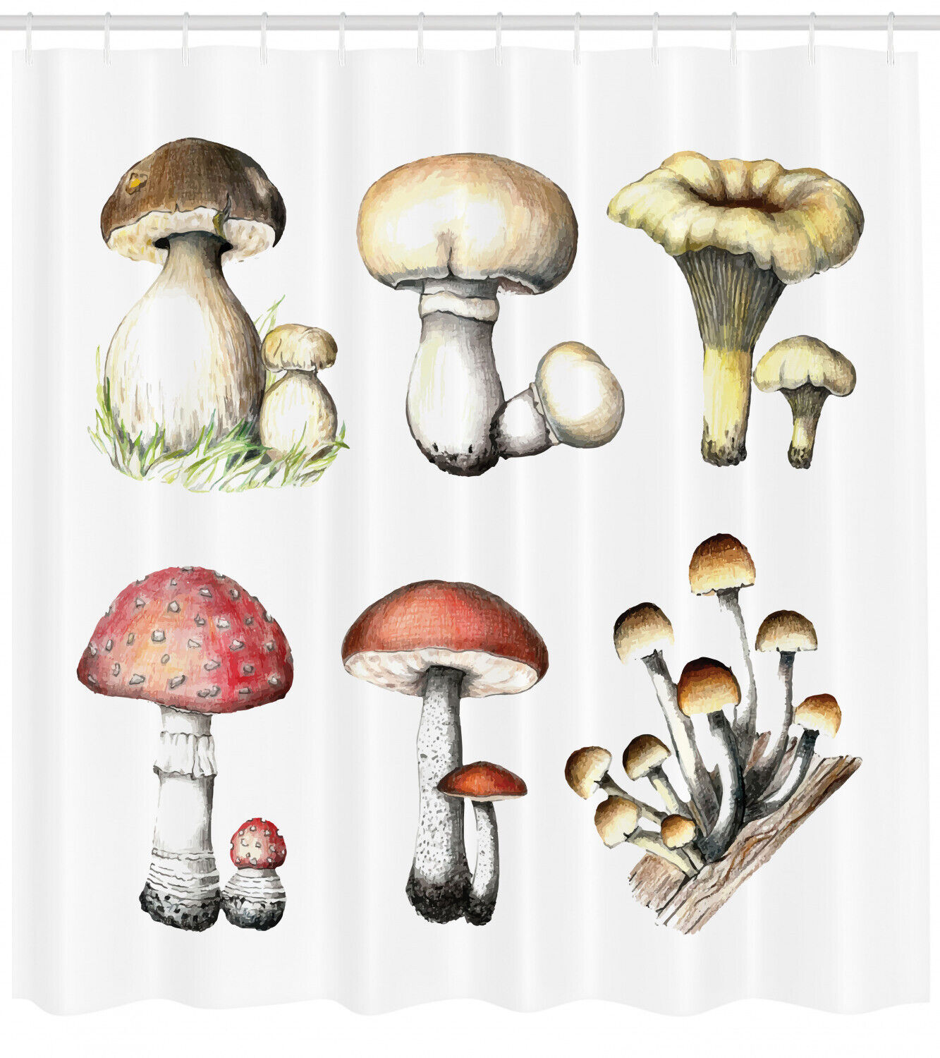 Hand Drawn Fungus Mushroom Shower Curtain - Unique and Artistic Bathroom Decor
