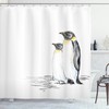 Hand Drawn Penguins Art Print Animal Shower Curtain For Bathroom