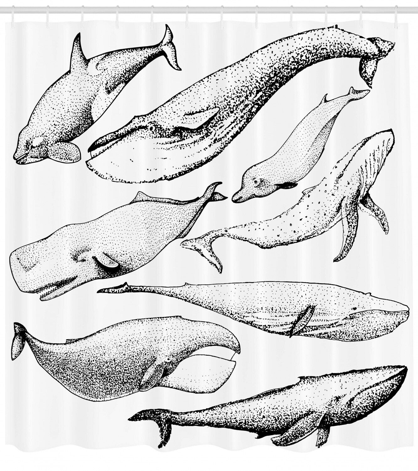Hand Drawn Single Whale Print Animal Shower Curtain For Bathroom - Image 2