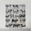Hand-Drawn Cow Illustration Shower Curtain, Bohemian Home Decor