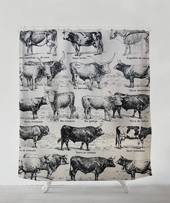Hand-Drawn Cow Illustration Shower Curtain, Bohemian Home Decor