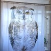 Handsome Cute Night Owl Bathroom Waterproof Fabric Shower Curtain