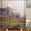 Handsome White Wild Horse Shower Curtain - Inspiring Meadow Design 