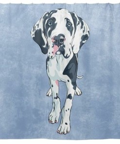 Harlequin Great Dane Puppy Dog Art Blue Shower Curtain For A Dog-Loving Bathroom