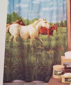 Hautman Brothers Country Prairie Meadow Fabric Shower Curtain for Rustic Bathroom Decor 