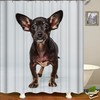 High-Quality 3D Pet Puppy Dog Animals Bathroom Shower Curtain