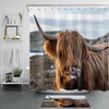 Highland Cow Bathroom Accessories - A Cute And Funny Touch To Your Bathroom