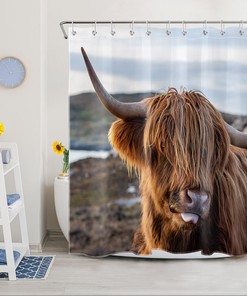 Highland Cow Bathroom Accessories - A Cute And Funny Touch To Your Bathroom