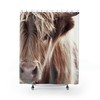 Highland Cow Shower Curtain By Southern Prairies Co