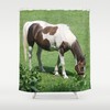 Horse In Spring Field Shower Curtain - Brown And Green Bath Decor - Designer Curtain 