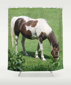 Horse In Spring Field Shower Curtain - Brown And Green Bath Decor - Designer Curtain 