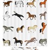 Horse Pattern Animal Shower Curtain For Bathroom Showers, Stalls, And Bathtubs