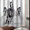 Horse Shower and Bath Curtain Set - Invigorating Bathroom Decor