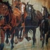 Horse Theme Michelle Grant Shower Curtain for Equestrian Bathroom Dcor