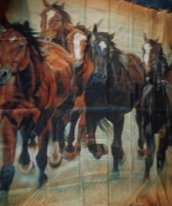 Horse Theme Michelle Grant Shower Curtain for Equestrian Bathroom Dcor