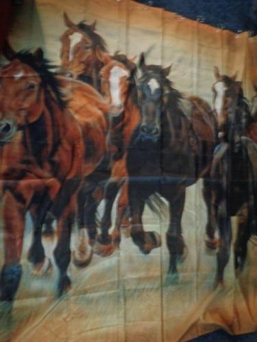 Horse Theme Michelle Grant Shower Curtain for Equestrian Bathroom Dcor