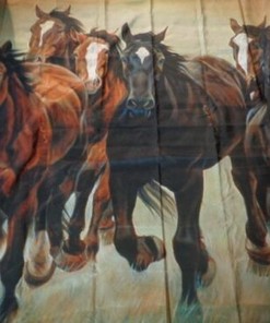 Horse Theme Michelle Grant Shower Curtain for Equestrian Bathroom Dcor