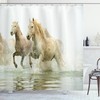 Horse Themed River Wild Life Animal Bathroom Decor Shower Curtain
