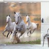 Horse Themed Sunset Wild Life Animal Bathroom Decor Shower Curtain