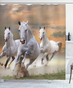 Horse Themed Sunset Wild Life Animal Bathroom Decor Shower Curtain