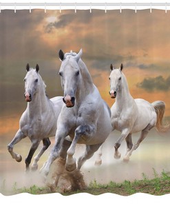 Horse Themed Sunset Wild Life Animal Bathroom Decor Shower Curtain