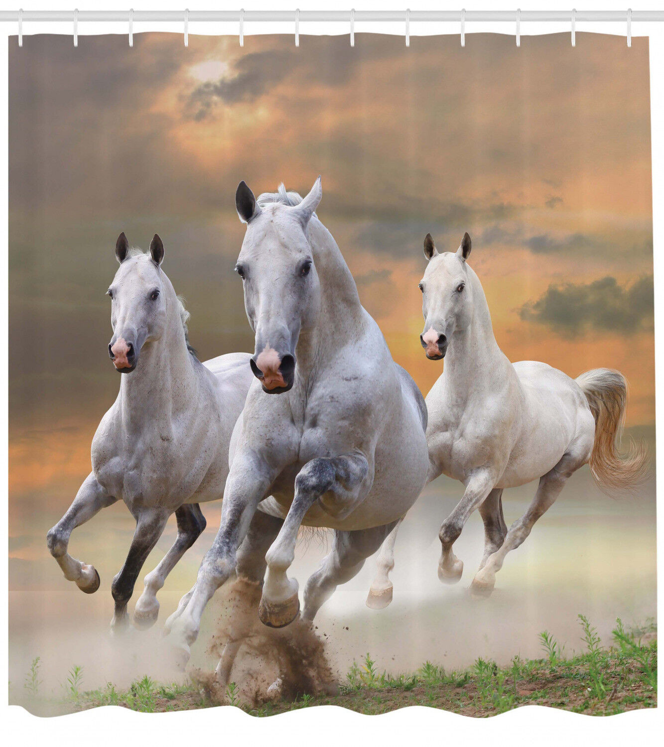 Horse Themed Sunset Wild Life Animal Bathroom Decor Shower Curtain