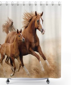 Horses and Kids Run in Fields Farm Country Decor Bathroom Shower Curtain 