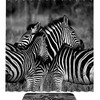 Hugging Zebras Shower Curtain, Fabric Liner for Stylish Bathroom Decor