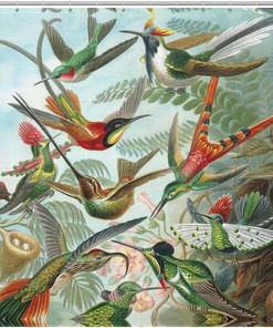 Hummingbird Pattern Printed Waterproof Shower Curtain For Bathroom