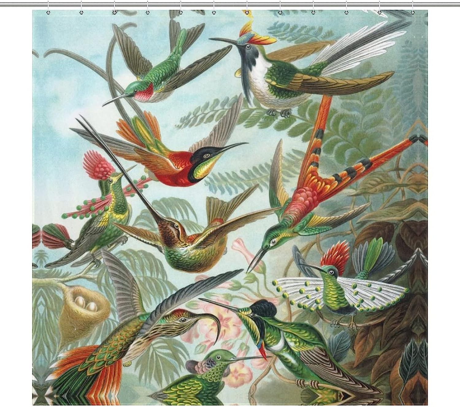 Hummingbird Pattern Printed Waterproof Shower Curtain For Bathroom