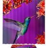 Hummingbird Red Flowers Shower Curtain For A Delightful Bathroom