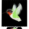Hummingbird Shower Curtain, Unique Waterproof Bathroom Decor