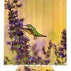 Hummingbird and Catmint Nature Unique Shower Curtain Waterproof Washable