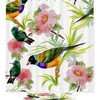 Hummingbirds Nature Restroom Shower Curtain Waterproof Washable