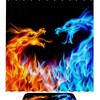 Ice Fire Dragon Shower CurtainWaterproof Bathroom Decor