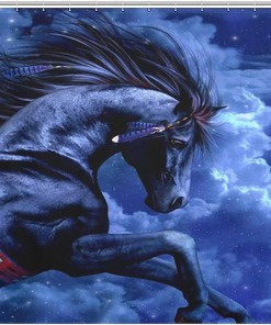 Indian Horse Shower Curtain Waterproof Bathroom Decoration