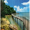 Island Vibes: Shower Curtain with Palm Leaves and Ocean View