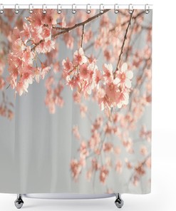 Japanese Cherry Blossom Nature Photography Peach Shower Curtain