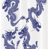 Japanese Noble Monster Dragon Shower Curtain Stable