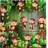 Jungle Monkeys Print Shower CurtainColorful Bathroom Decor for Kids