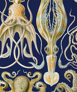 Kraken Octopus Shower Curtain Underwater Ocean Artistic Bathroom Decor Gifts