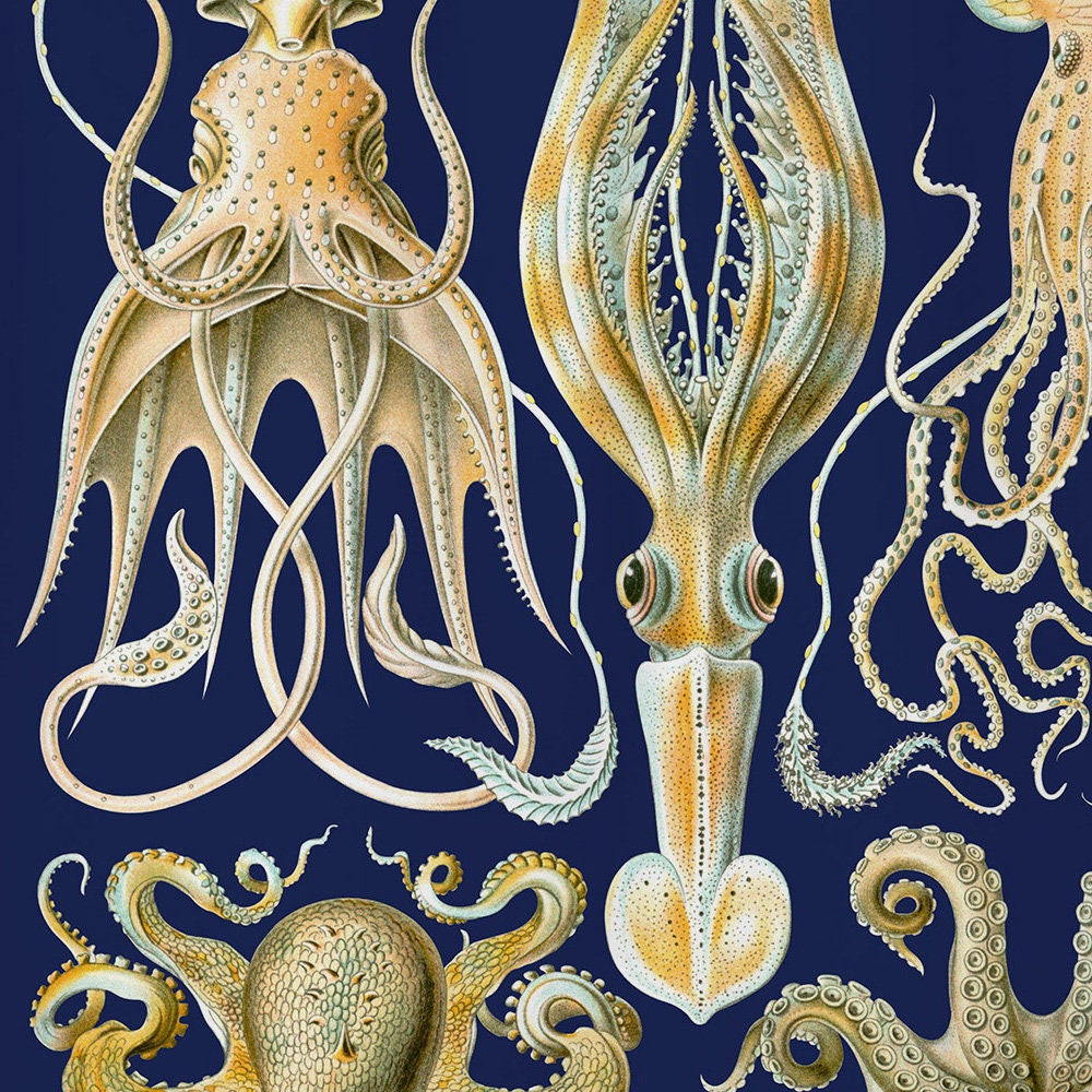Kraken Octopus Shower Curtain Underwater Ocean Artistic Bathroom Decor Gifts