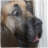 Labrador, Great Dane Dogs Muzzle Funny Shower Curtain Dashund Animal Print Waterproof