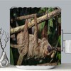 Lazy Days Sloth Waterproof Fabric Shower Curtain
