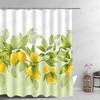 Lemon Tree Fruit And Flower Diagram Shower Curtain, Small Fresh Bathroom Decoration 