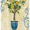 Lemon Tree Retro Style Stall Shower Curtain