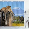 Leopard Print Shower Curtain - Wildlife Bathroom Decor