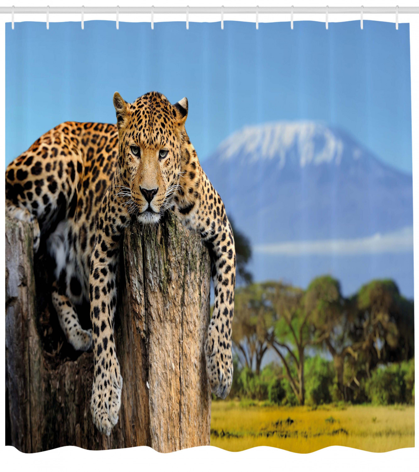 Leopard Print Shower Curtain - Wildlife Bathroom Decor