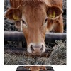 Livestock Cow Ranch Animal Waterproof Bathroom Curtain