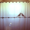 Love Birds Shower Curtain with Barbed Wire Bathroom Decor and Nature Theme 